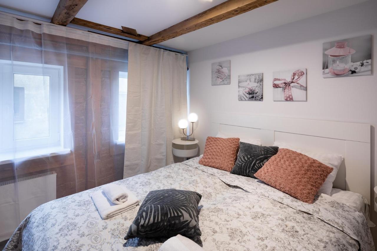 Merkela Loft Apartment Beside Vermanes Park Рига Екстер'єр фото
